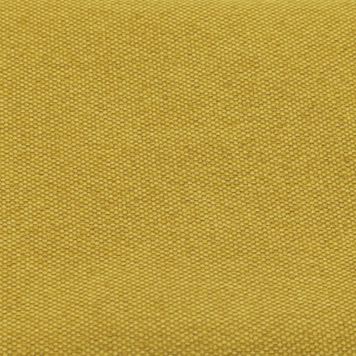 CAS-08 Mustard Yellow